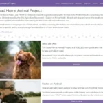 The Road Home Animal Project